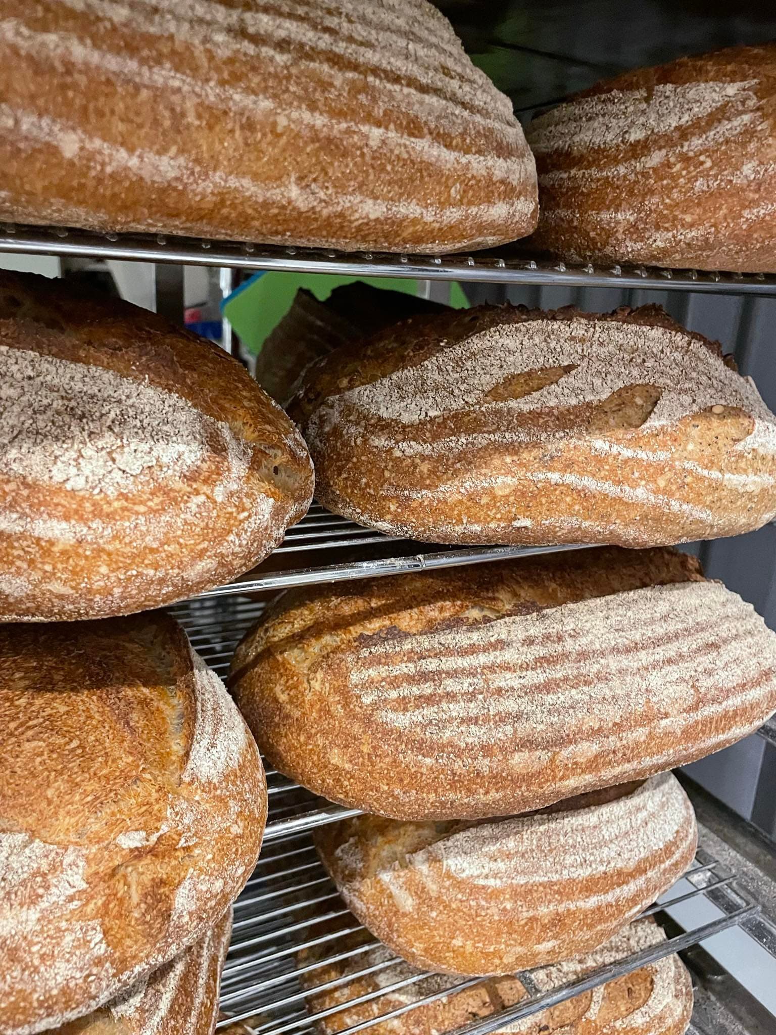 Seeded Sourdough: Christmas Week (Katka's Bakehouse)