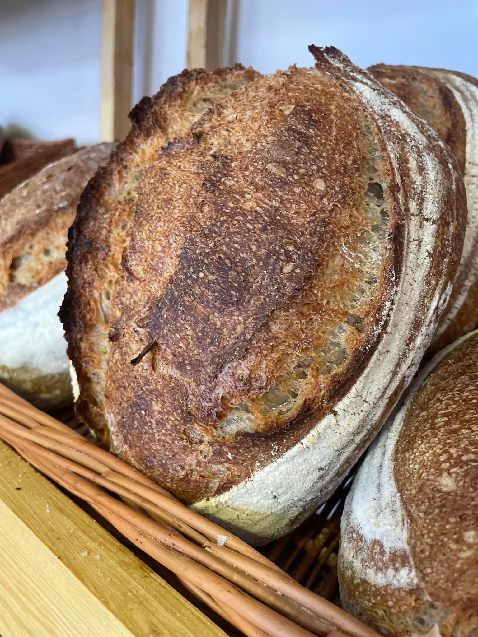 Country Sourdough: Christmas Week (Katka's Bakehouse)