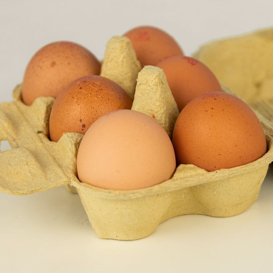 Free Range Eggs (Organic)