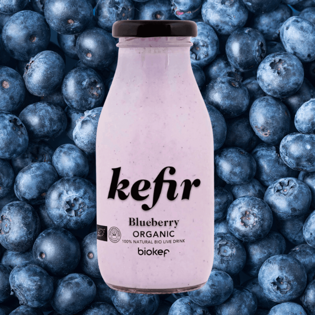 Kefir - Blueberry (Dairy) (Organic)